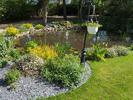 aménagement bassin fleur jcb
