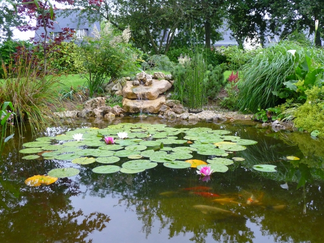 bassin et cascade avec grosse pierre