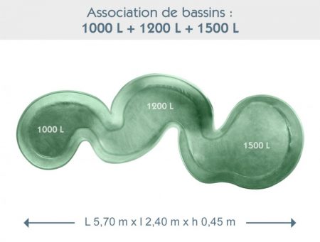 Bassin associé