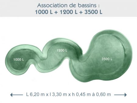 Bassin associé