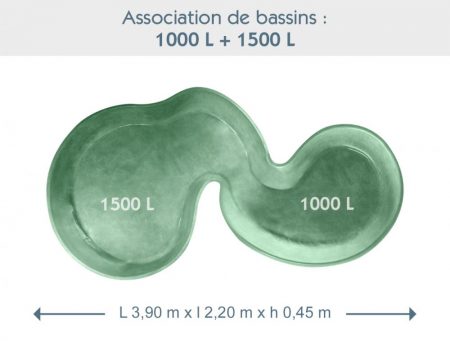 Bassin associé
