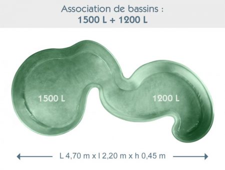 Bassin associé