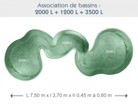 Bassin associé