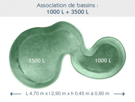 Bassin associé