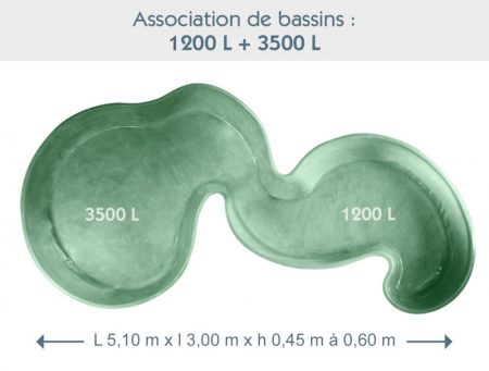Bassin associé
