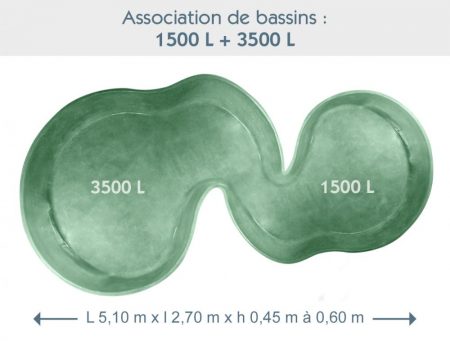 Bassin associé