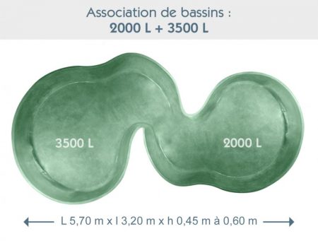 Bassin associé