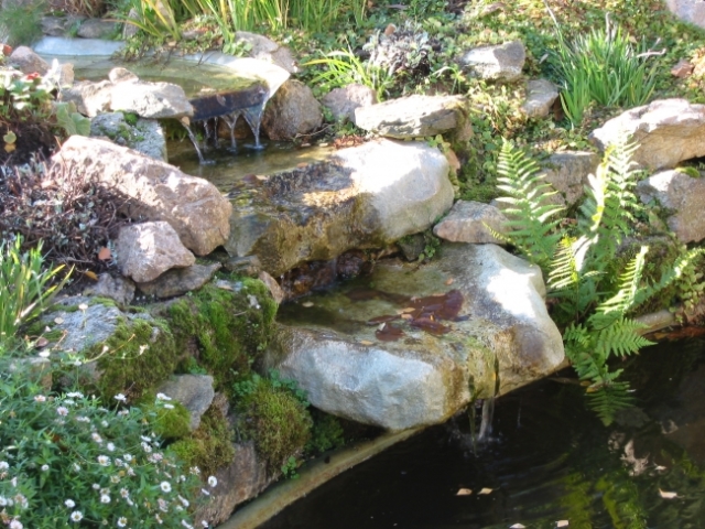 Réalisations aquatiques JCB (11)