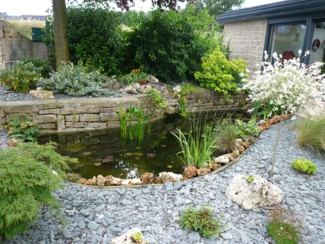 Réalisations aquatiques JCB (8)