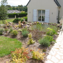 bassin jcb final