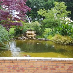 bassin avec cascade