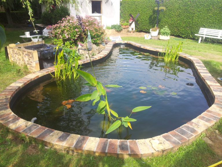 bassin JCB final avec eau