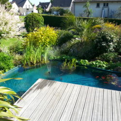bassin sur mesure en L