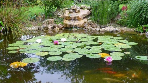 Kit bassin rond ELLEZ 2500 L