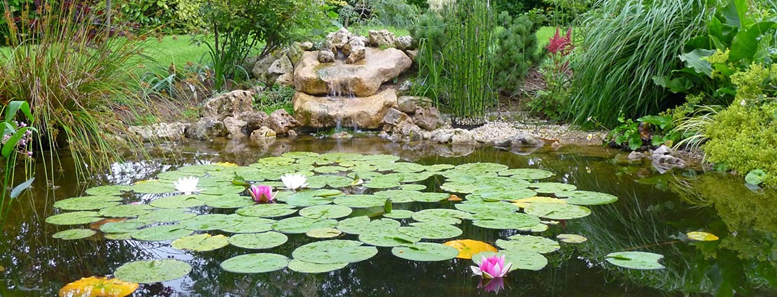 Bassin aquatique chez JCB Aquatique Slider 1