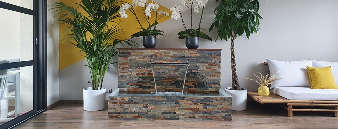 Bassin aquatique chez JCB Aquatique Slider 2
