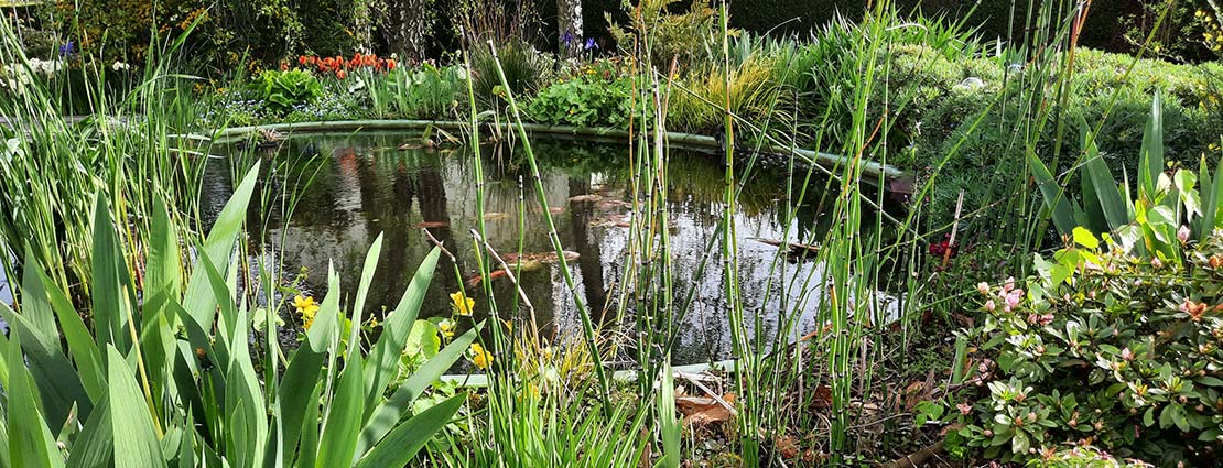 Bassin aquatique chez JCB Aquatique Slider 3