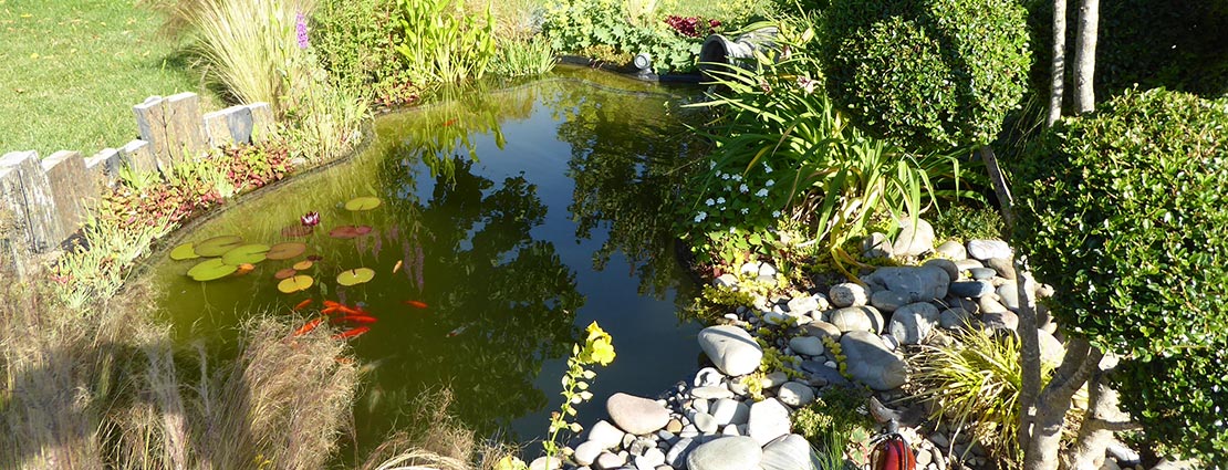 Bassin aquatique chez JCB Aquatique Slider 5