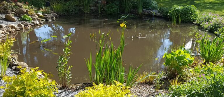 photo d'une de nos kit bassin JCB Aquatique